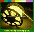 220v 5050 smd flexible warm white led strip lamp