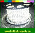 230v white strip led 5050 SMD