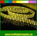 light rope led 5 wire yellow