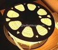 super bright 5050 smd double strip 120SMD/M 50meter