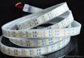 50meter Double Row tube Cool white 5050 Led Strip waterproof 120 leds/m
