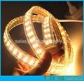220v double row 2835 led strip waterproof tape ribbon 120smd/M