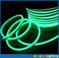 super bright 8.5*17mm mini led green neon flexible rope double cover
