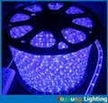12mm diameter round led rope light 2 wires blue
