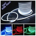 Full color changing LED Neon Light tube