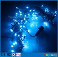 AC 220v 10M blue waterproof led Christmas fairy lights