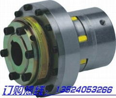 Torque Limiter Coupling