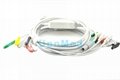 Welch Allyn EKG cable with 10 lead wires, 14-pin