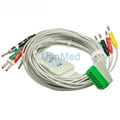 BJ-900P Nihon Kohden 10 lead EKG cable