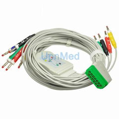 BJ-900P Nihon Kohden 10 lead EKG cable with leadwires 