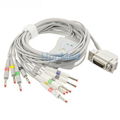 Siemens Hellige​ one-piece 10 lead EKG cable with leadwires  1