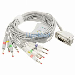 Siemens Hellige​ one-piece 10 lead EKG cable with leadwires 