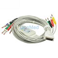 Burdick one piece 10 lead EKG cable with leadwires