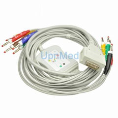 Burdick EK-10 one piece EKG cable with leadwires