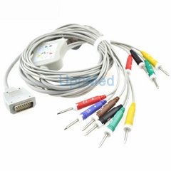 ShangHai Kohden 10 lead EKG cable with leadwires