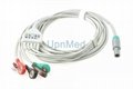 Life point 5 lead ECG cable with lead wires 3