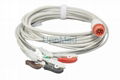 Bionet BM3 ECG Cable with leadwires,8 pins 