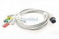 Nihon Kohden OEC-6102A ECG cable with lead wires, 8 pins