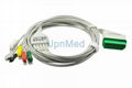 Nihon Kohden ECG Cable with leadwires 