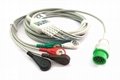 Infinium OMNI Cable with lead wires, 12 pins 