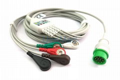 Infinium OMNI Cable with lead wires, 12 pins