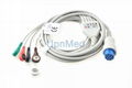 GE Datex Ohmeda Cardiocap 5 ECG Cable  1