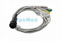 Saadat Heyer Sierra Neptune ECG Cable, 8 pins