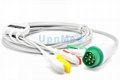 Siemens ECG cable with leadwires