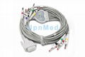 BIONET 10 lead EKG Cable with lead wires 2