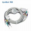 Nihon Kohden 10-lead EKG cable with leadwires  4