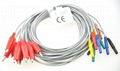 Alligator EEG Electrodes Cord 1