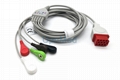 Bionet BM5 ECG Cable with lead wires, 12