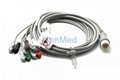 M1986A Philips 5-lead ECG cable, 12 pin 4