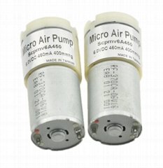 Micro Air Pump 3V 6V 12V 24V