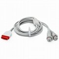 GE IBP cable to dual BD Blood pressure transducer 2