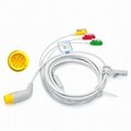 Lifegain Patient ECG cable, 12 pins