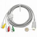 Philips direct connect Patient ECG cable, 12 pins