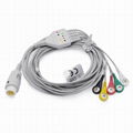 Philips direct connect Patient ECG cable, 12 pins