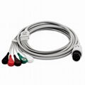 GE Pro1000 5-lead ECG Cable with leadwires 1