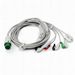 Bruker ECG Cable with leadwires,12 pins 