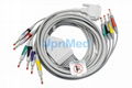 BIONET 10 lead EKG Cable with lead wires 1