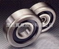 Mast Guide Roller Bearing