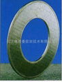 High-strength graphite gasket. 1