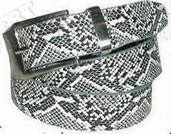 Fashion Belt