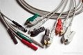 DIN Series 5-lead Clip leadwires