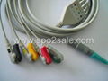 Petas one piece 4-lead ECG Cable with