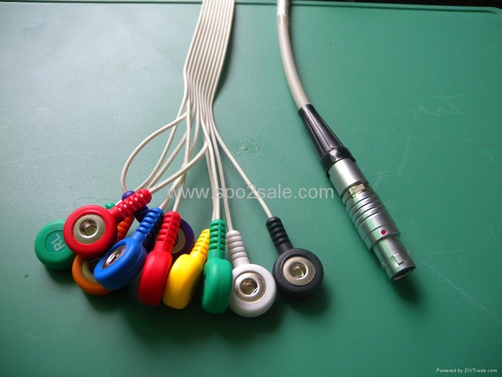 Landcom 10 lead holter cable