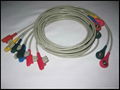 GE 10-lead Snap leadwires