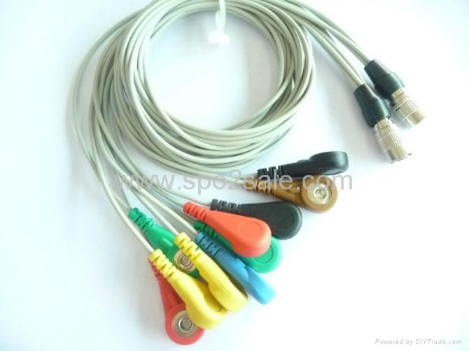 PI Holter cable