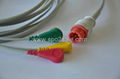 Compatible with Bionet BM3 one piece Cable with 3-lead IEC Snap leadwires  1
